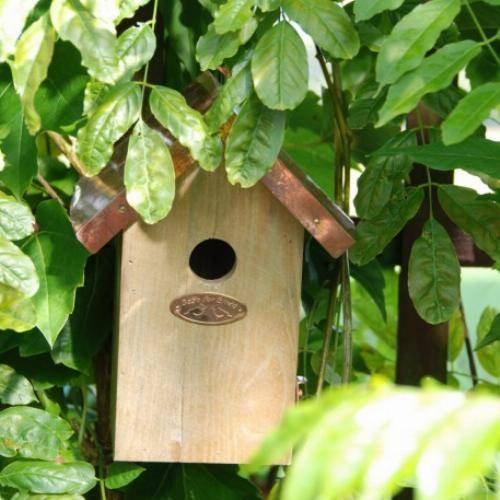 Esschert Design - Abri en bois pin et cuivre pour Roitelet Ø30mm - Image 4