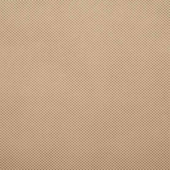 PANGIVO - Housse de protection anti-gel tissu non tissé beige 350 x 250 cm - PANGIVO - Image 8