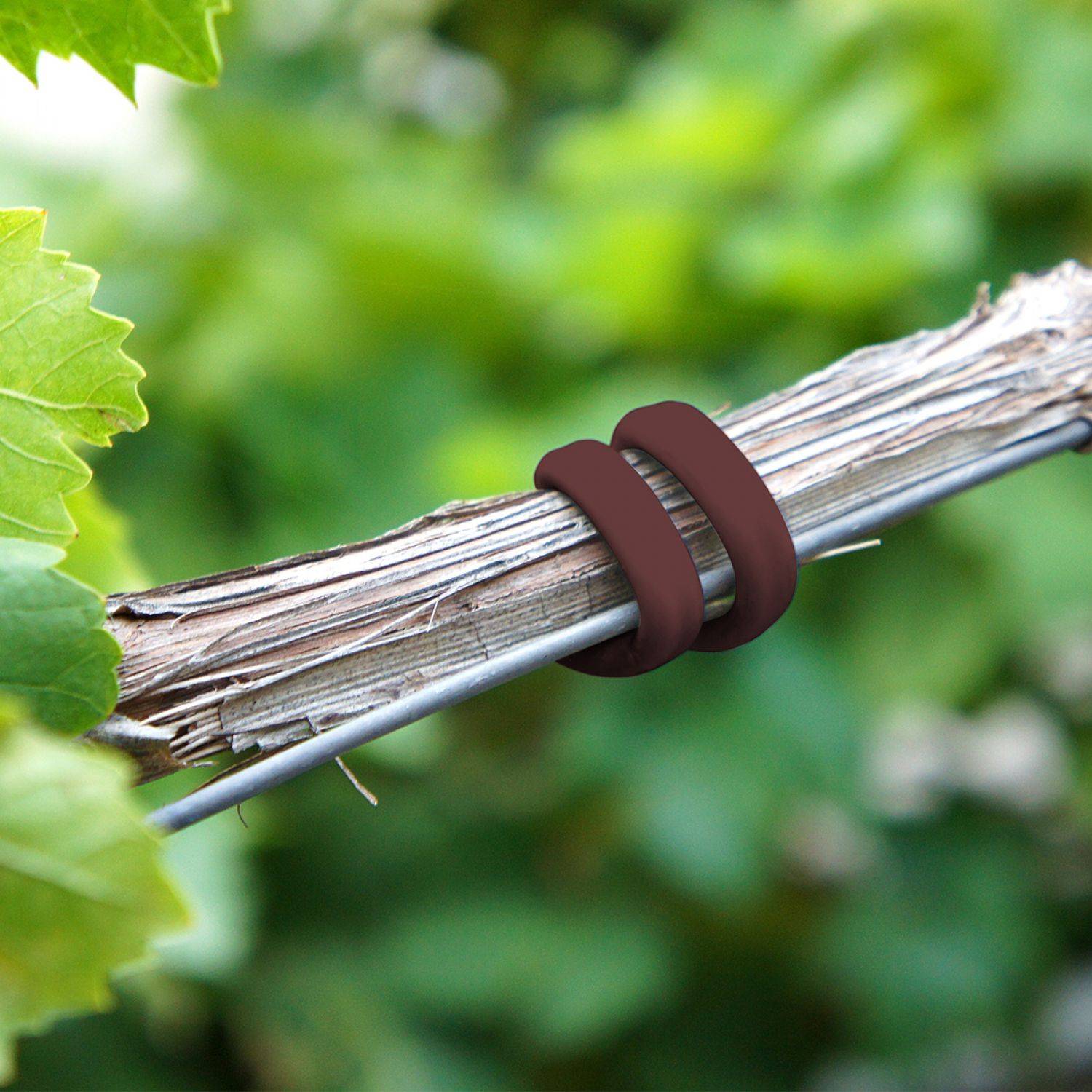 Linxor - Bobine de lien de tuteurage, tube creux antigel en PVC, pour plantes et arbustes d'intérieur ou extérieur - Diam 3 mm x 50 m - Marron - Linxor - Imagen 4