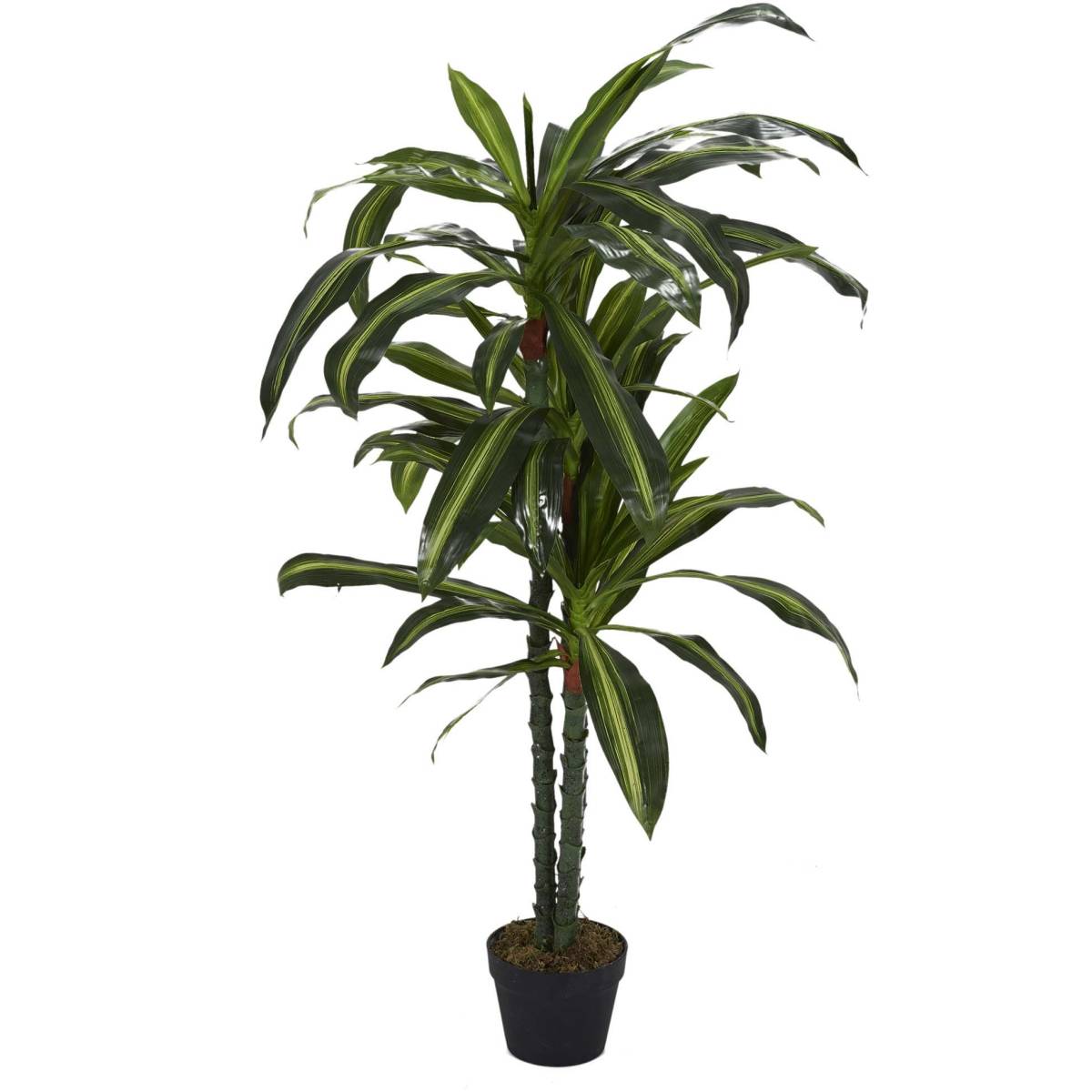 The Home Deco Factory - Plante artificielle Dracaena 160 cm - Imagen 1