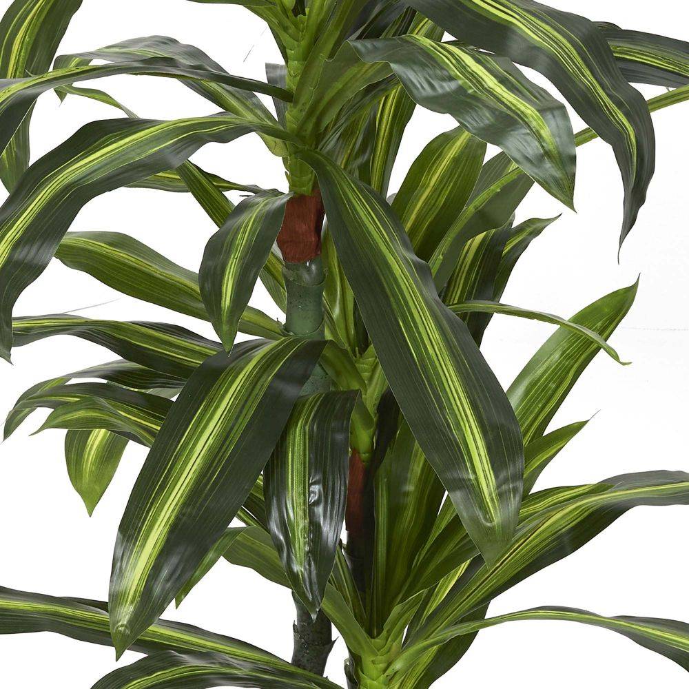 The Home Deco Factory - Plante artificielle Dracaena 160 cm - Imagen 3
