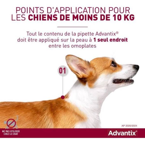 Advantix - Advantix Chien Solution Antiparasitaire Puces Tiques Répulsif Mouches Moustiques Phlébotomes 1,5 a 4kg 4 pipettes - Image 2
