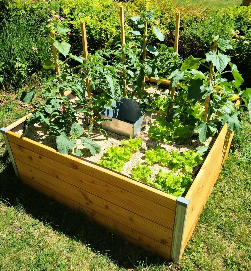 Mon Petit Potager - Carré Potager avec composteur intégré - Bois Douglas non traité -  120 x 115 x H40 - mon PETIT POTAGER - Image 3