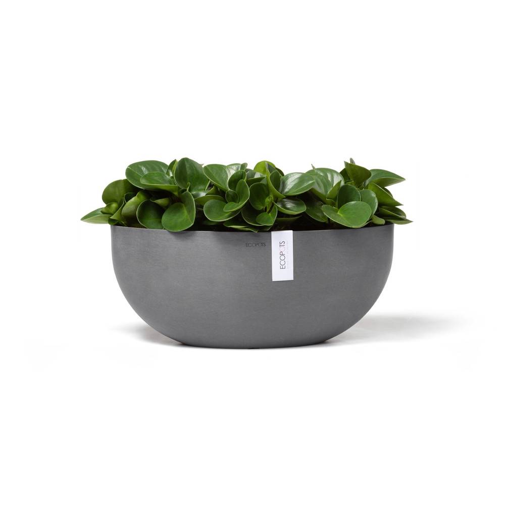 Ecopots - Pot Ovale Sofia Big 43 Gris + réservoir d'eau - 43 x 25 x H. 17,5 cm - 8,2 L ECOPOTS - Imagen 1