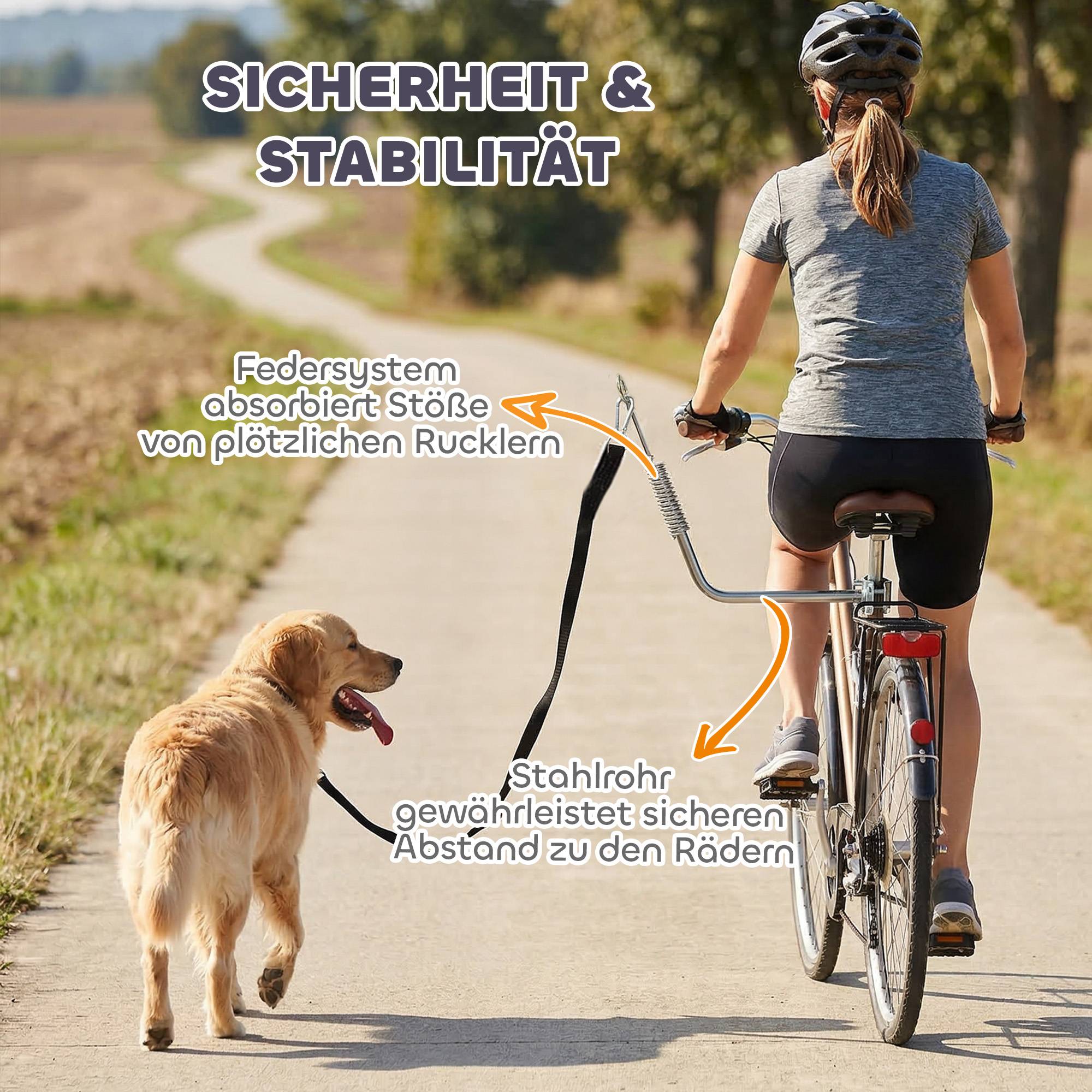 Laisse vélo chien amortisseurs réglable sangle amovible fixation rapide training jogging argent+noir - Image 7