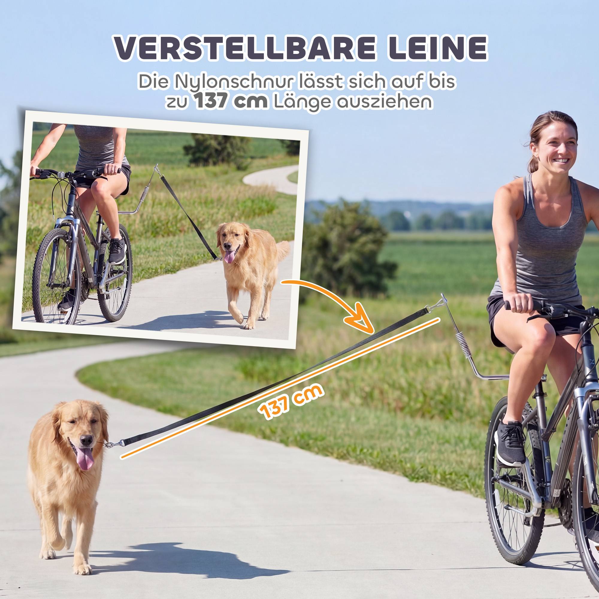 Laisse vélo chien amortisseurs réglable sangle amovible fixation rapide training jogging argent+noir - Image 9