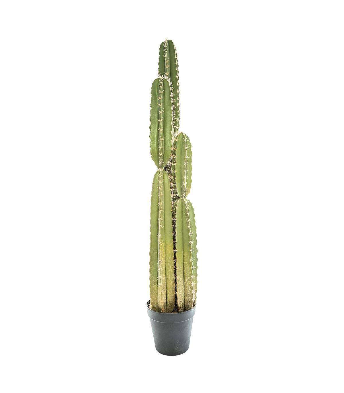 Plante artificielle Cactus Pin dans son pot H 185 cm - Imagen 1