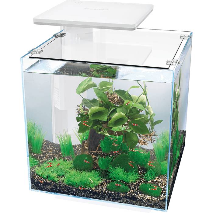 Superfish - Aquarium nano cube QubiQ 30 PRO LED Blanc 30 litres - SUPERFISH