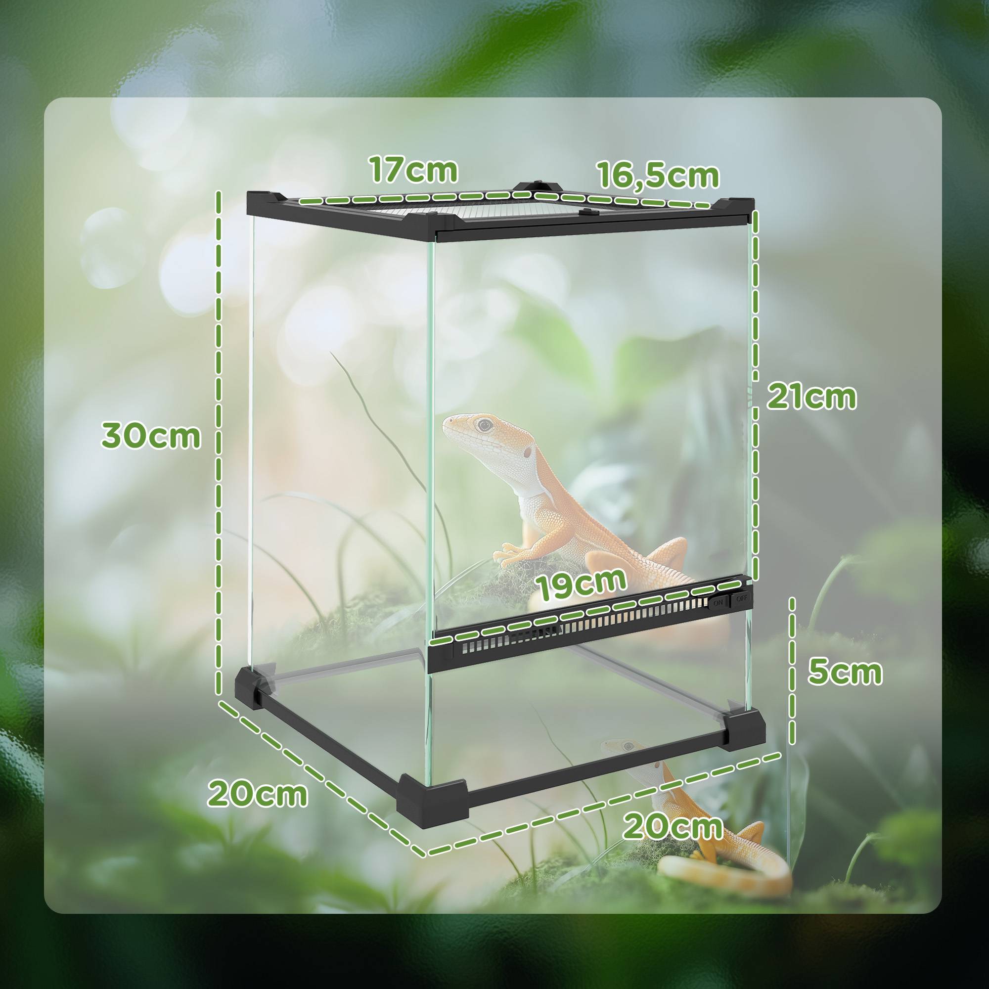 Terrarium en verre noir 20 x 20 x 30 cm - PANGIVO - Image 5