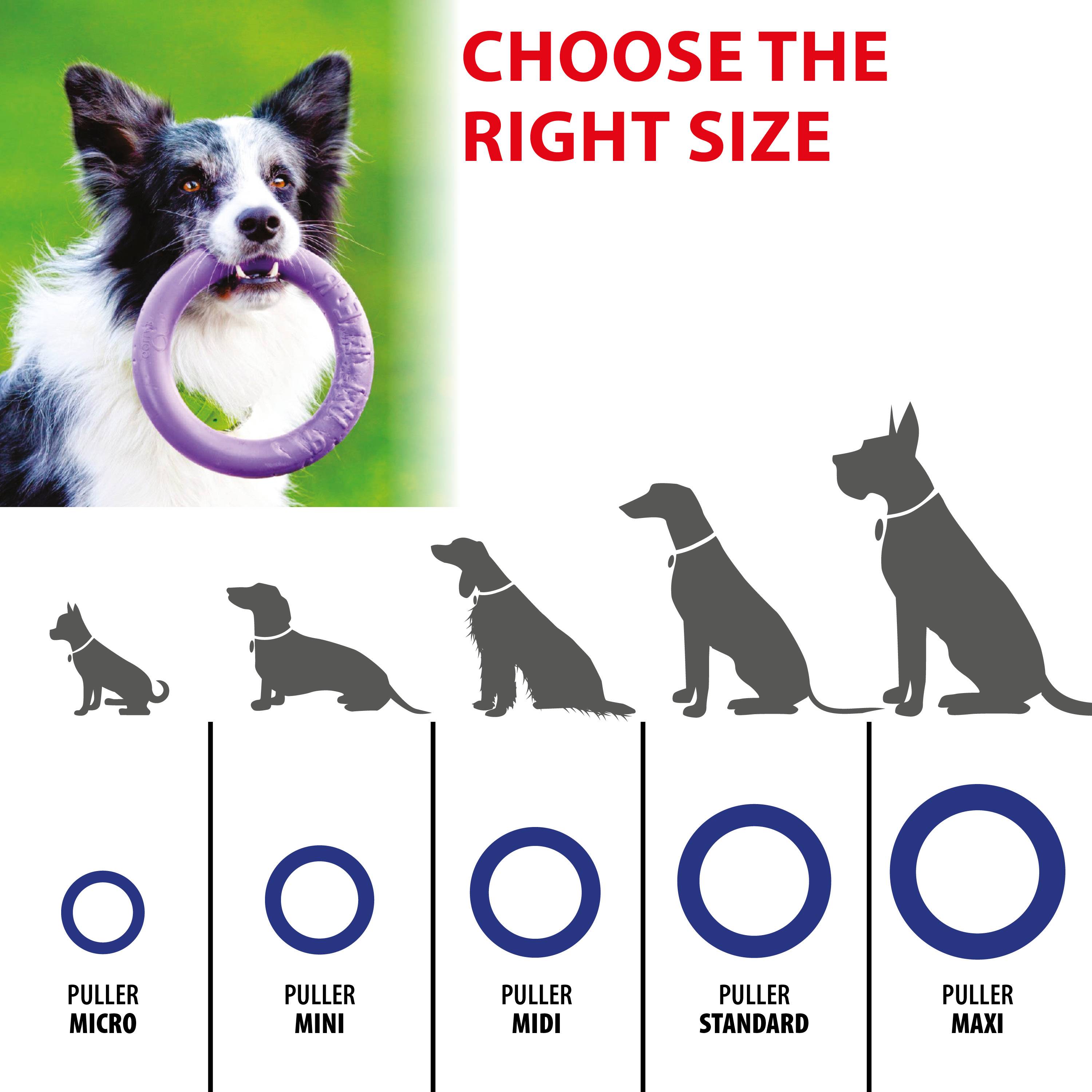 Ferplast - Ferplast Jouet Chien, Anneau Entrainement Chien à Mâcher, Course, Saut, Tir, Matériau Robuste Non Toxique, Flottant, PULLER STANDARD, Jouets pour - Imagen 2