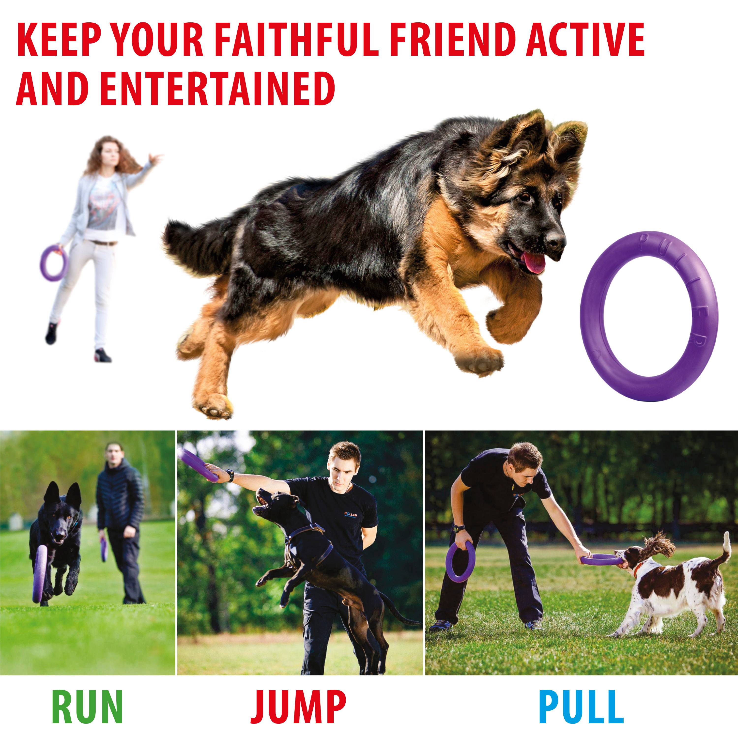 Ferplast - Ferplast Jouet Chien, Anneau Entrainement Chien à Mâcher, Course, Saut, Tir, Matériau Robuste Non Toxique, Flottant, PULLER STANDARD, Jouets pour - Imagen 4