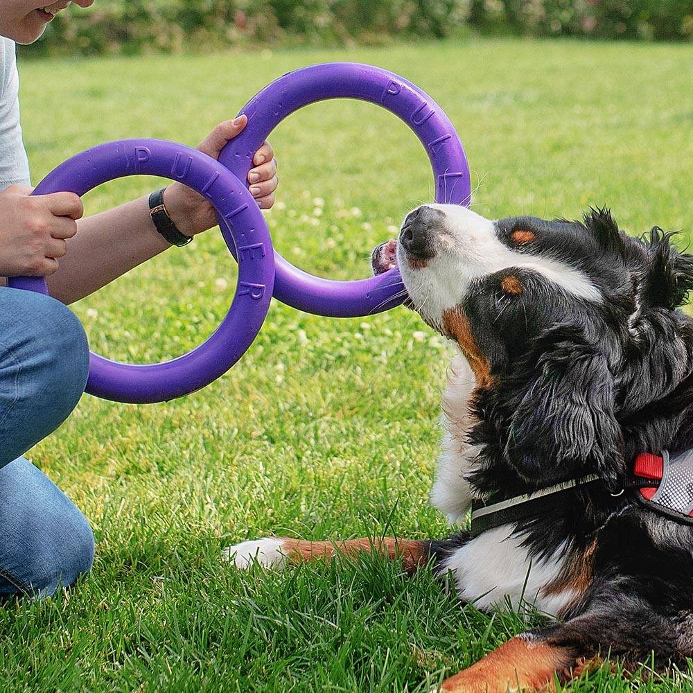 Ferplast - Ferplast Jouet Chien, Anneau Entrainement Chien à Mâcher, Course, Saut, Tir, Matériau Robuste Non Toxique, Flottant, PULLER STANDARD, Jouets pour - Imagen 6
