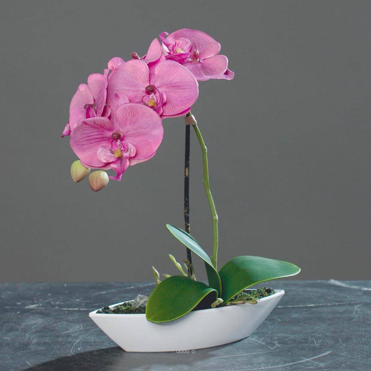 Artificielles - Orchidée factice tissu gaufré pot Résine Blanc ovale H 28 cm Rose-crème - couleur: Rose-crème - Imagen 2