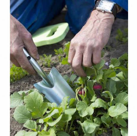Nature - Transplantoir - Image 2