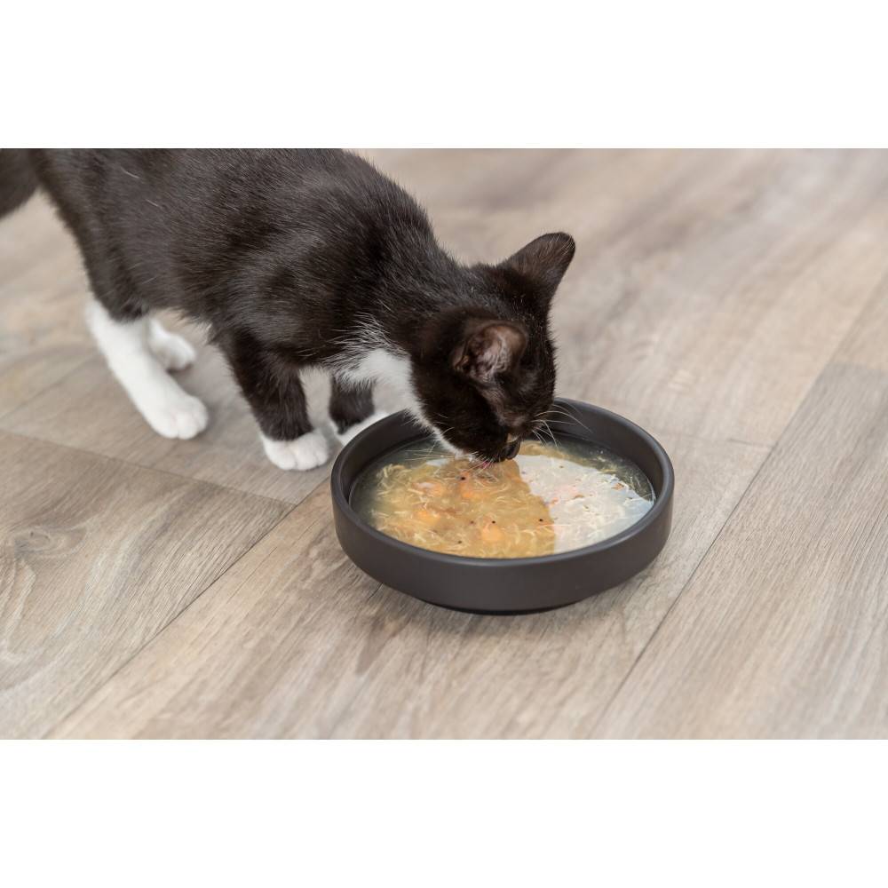 Trixie - Trixie - Soupe au poulet et au saumon 24 x 80 g pour chat - Image 3