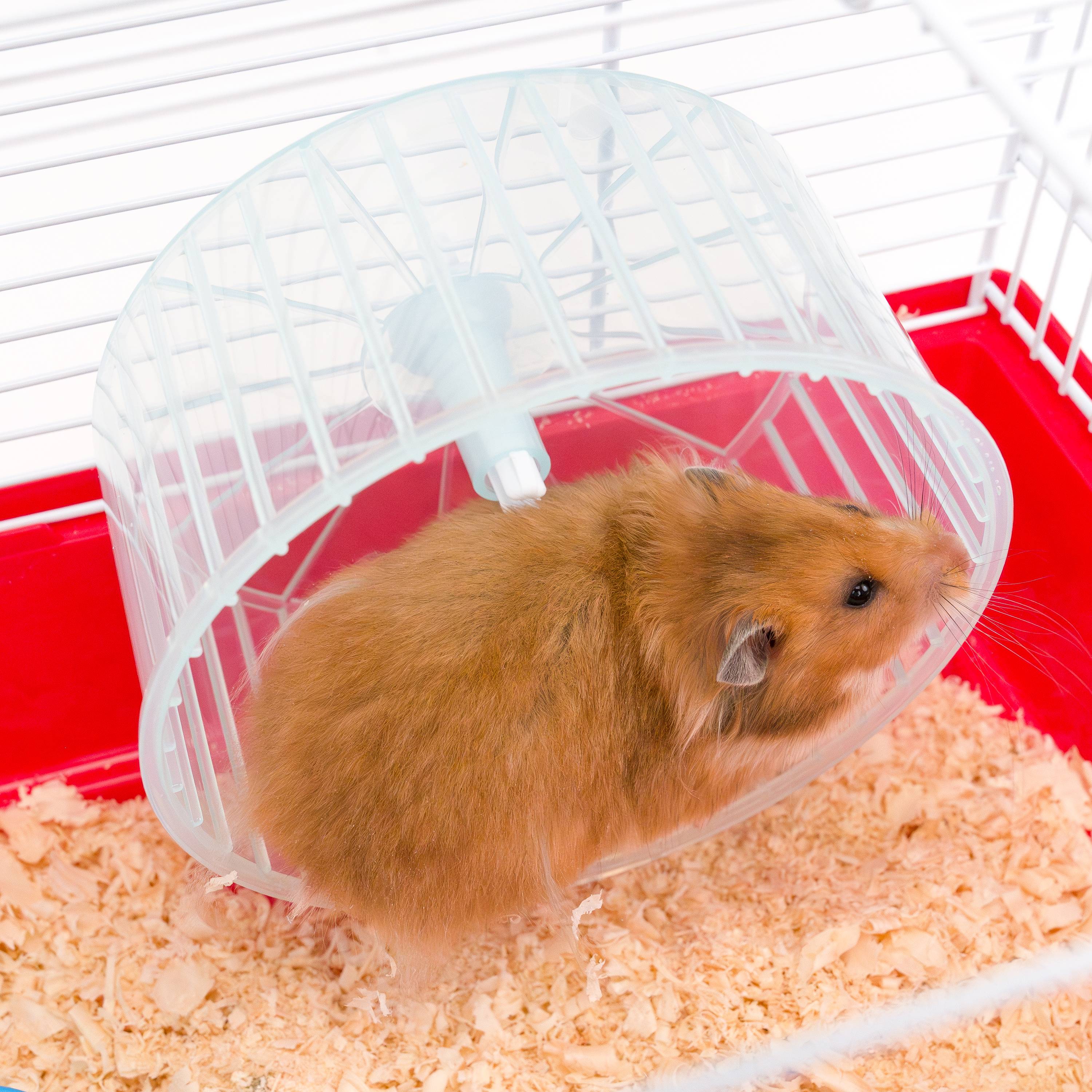 Ferplast - Cage pour Hamsters Petits Rongeurs CRICETI 9, en Plastique, Accessoires inclus - Image 7