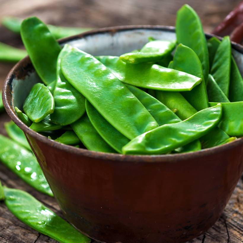 Promesse de Fleurs - Pois à rames Corne de Bélier mangetout  - Pisum sativum le sachet de 250-350 graines environ (100g)
