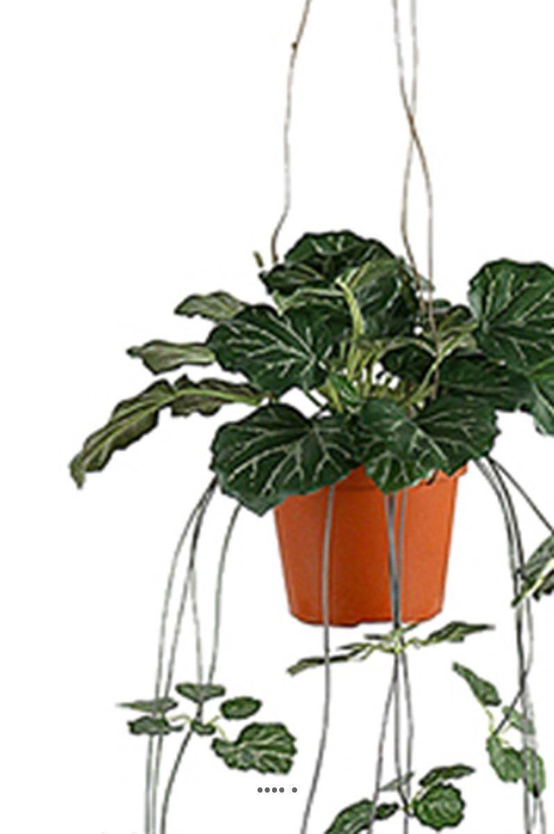 Artificielles - Saxifrage artificiel retombant en pot suspendu, L 35 cm, D 23 cm - Imagen 3