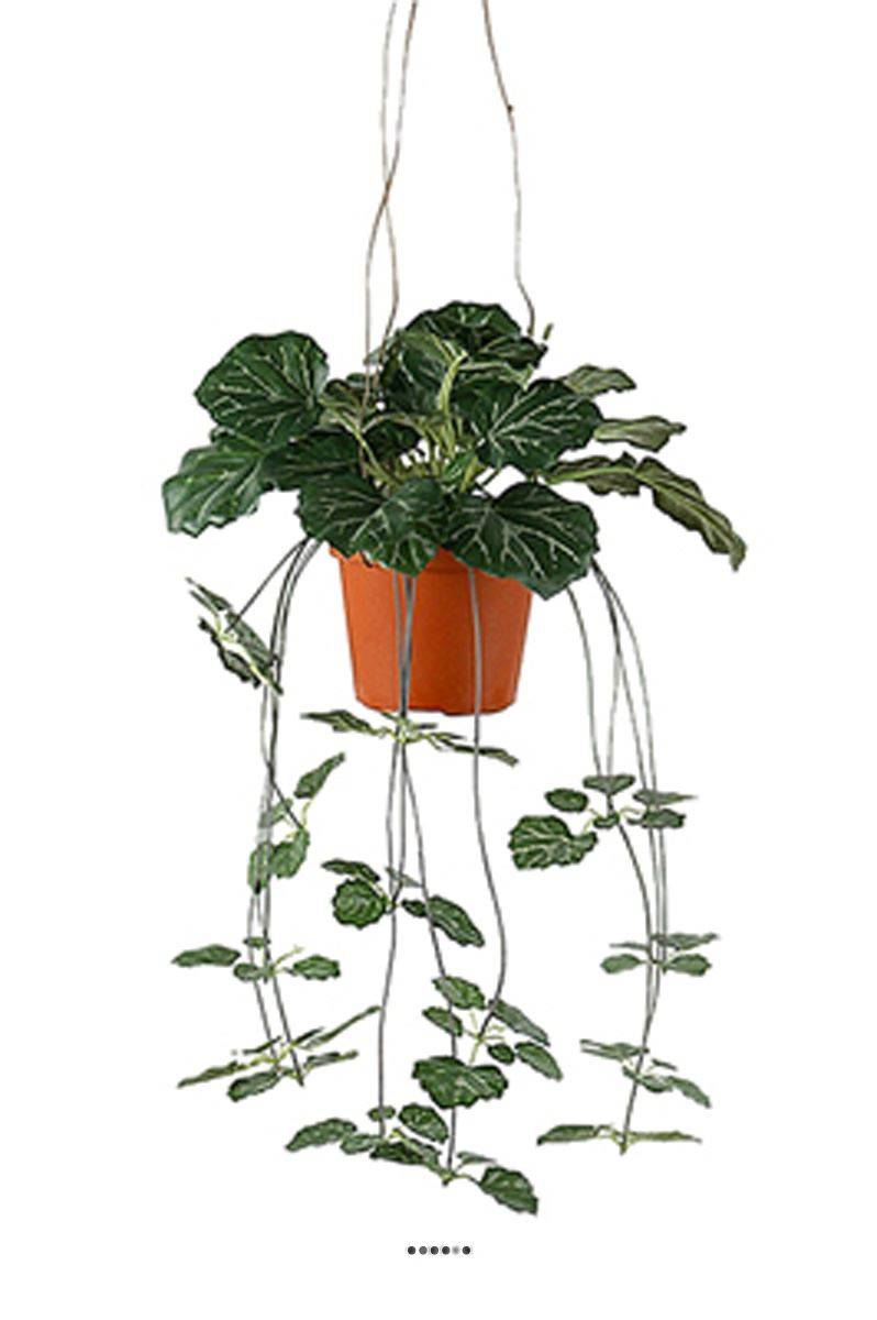 Artificielles - Saxifrage artificiel retombant en pot suspendu, L 35 cm, D 23 cm - Imagen 2