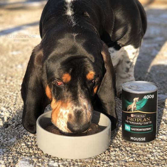 PURINA PRO PLAN EN Gastrointestinal Pâtée pour Chien - 12 x 400 g 12*400 g - Image 3