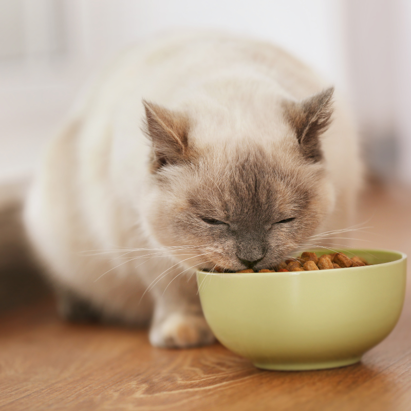 Alleva - Croquettes Sans Céréales Poulet & Canard pour Chat Stérilisé - Imagen 2