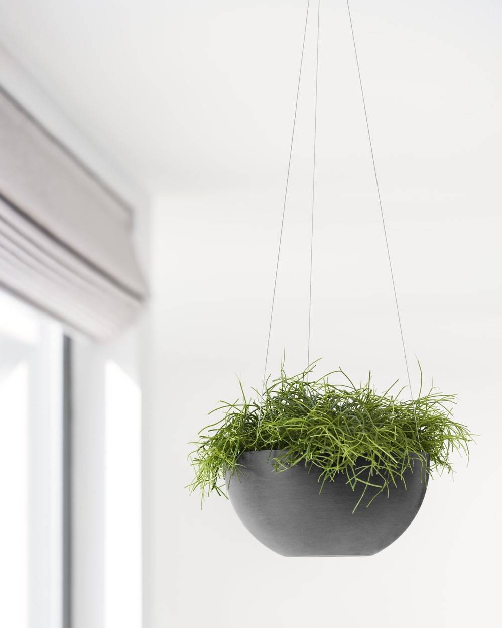 Ecopots - Pot supsendu Brussels 27 Gris Foncé - Ø 26,5 x H. 13 cm - 4,2 L ECOPOTS - Imagen 5