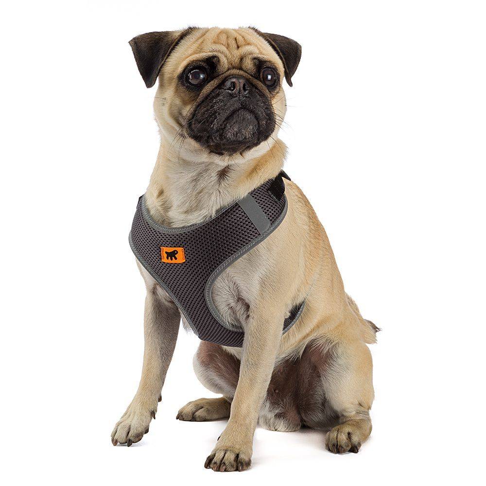 Ferplast - Ferplast Harnais Chien Petite Taille NIKITA XS, Harnais pour Chat Respirant, Rembourré et Ajustable, Facile à Porter, Bords Réfléchissants, Poitrine - Imagen 6