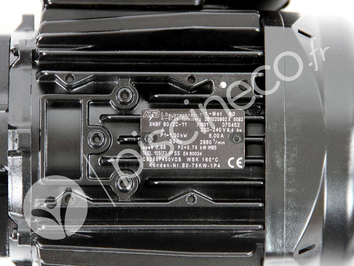 Moteur pour pompes La Sta-Rite 1,50 CV Tri - Pentair - Imagen 3