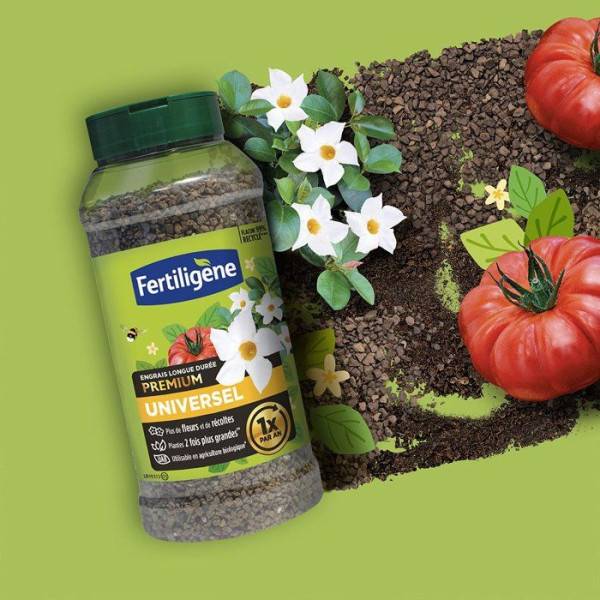 Fertiligène - Engrais longue durée premium universel 600 g - FERTILIGENE - FEGLDUNI - Image 5