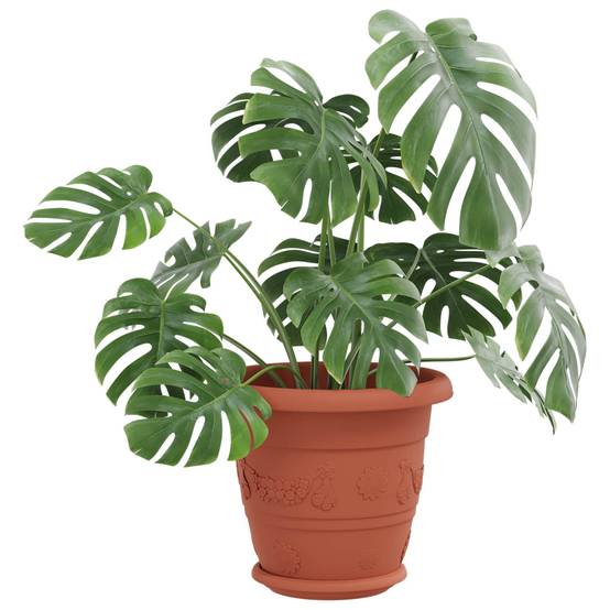 Pots de plantes 6 pcs | Bac à fleurs Rouge brique Ø 26 x 21.5 cm Plastique - Image 3