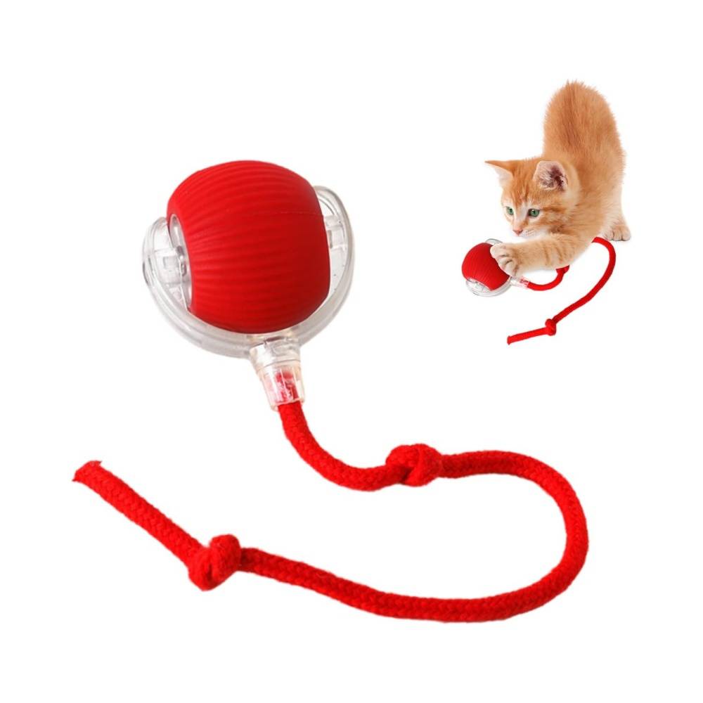 DtopbuyAge - Jeu interactif de balle pour chat DtopbuyAge - Image 1