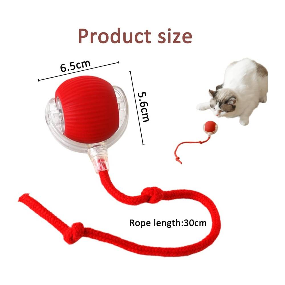 DtopbuyAge - Jeu interactif de balle pour chat DtopbuyAge - Image 2