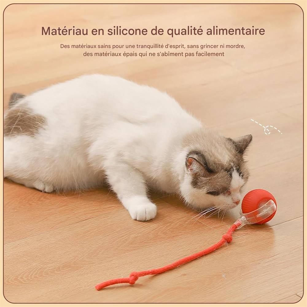 DtopbuyAge - Jeu interactif de balle pour chat DtopbuyAge - Image 4