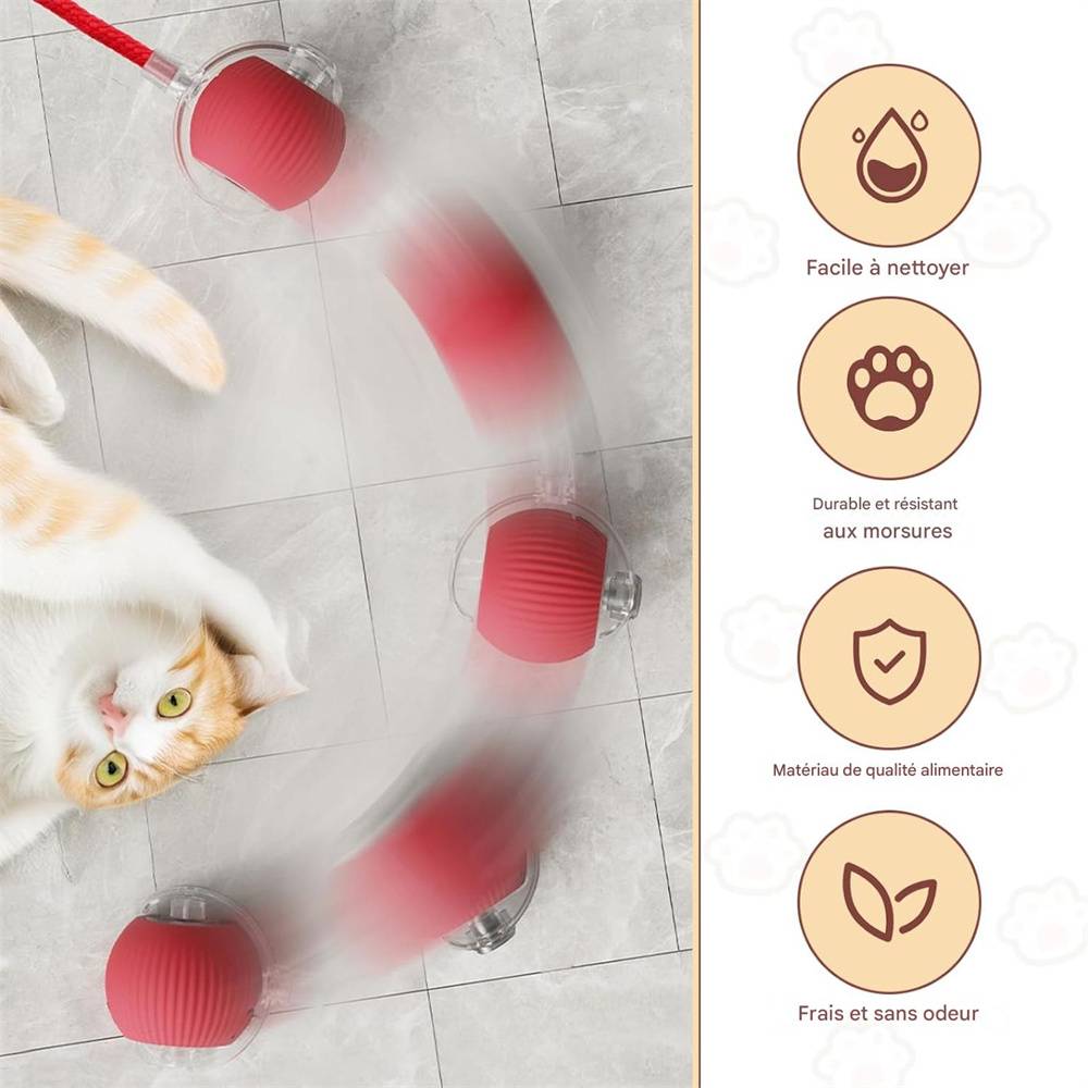 DtopbuyAge - Jeu interactif de balle pour chat DtopbuyAge - Image 5