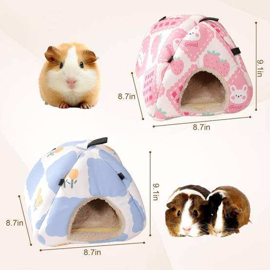DtopbuyAge - Panier pour cochon d’Inde hamster furet lapin DtopbuyAge - Image 5