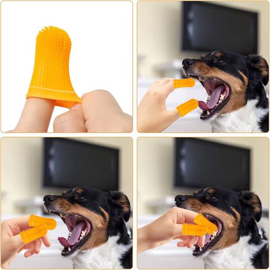Kit de brosses à dents pour chiens en 4 pièces DtopbuyAge - Image 2