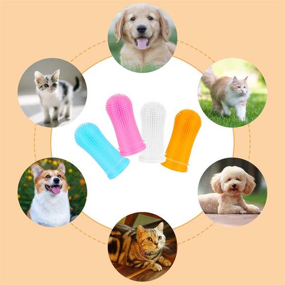 Kit de brosses à dents pour chiens en 4 pièces DtopbuyAge - Image 5