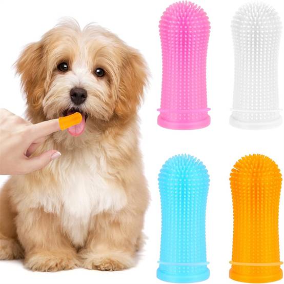 Kit de brosses à dents pour chiens en 4 pièces DtopbuyAge - Image 1