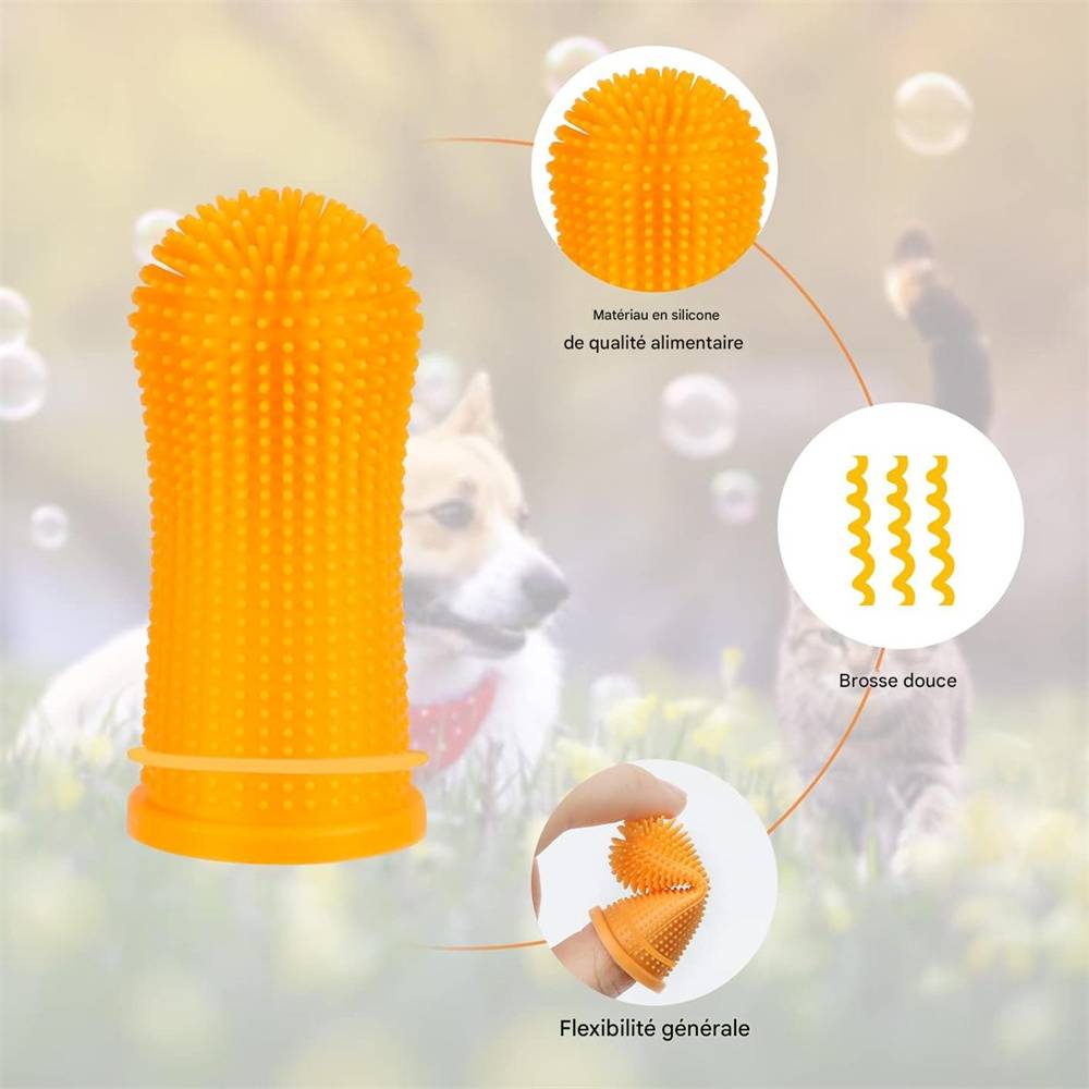 Kit de brosses à dents pour chiens en 4 pièces DtopbuyAge - Image 3