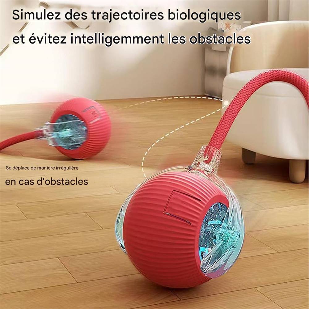 DtopbuyAge - Jouet à bille roulante pour chat DtopbuyAge - Image 3
