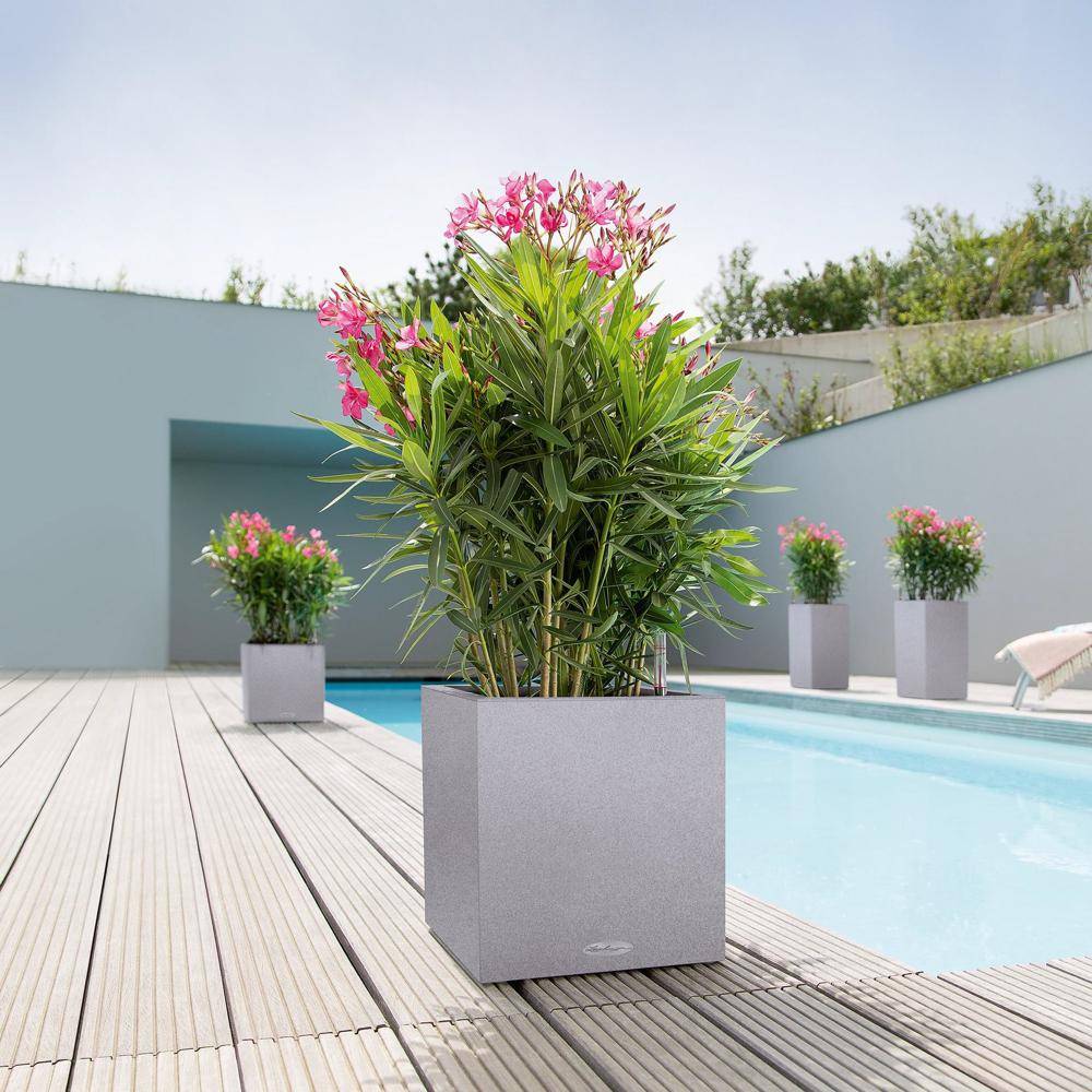 Lechuza - Pot Canto Color 30, gris pierre 3 L 30 cm Lechuza - Imagen 5