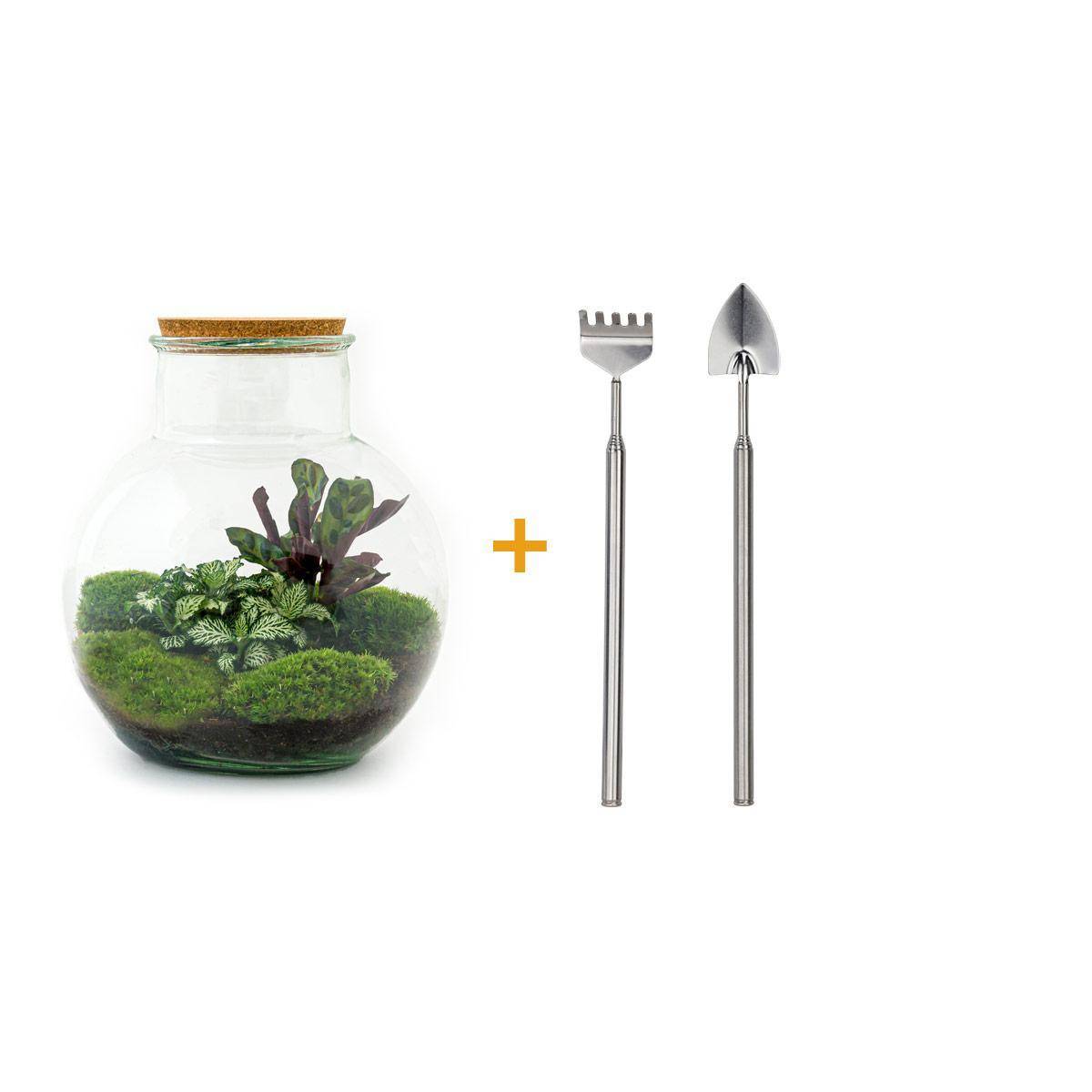 Diy Terrarium - H27cm - Image 1