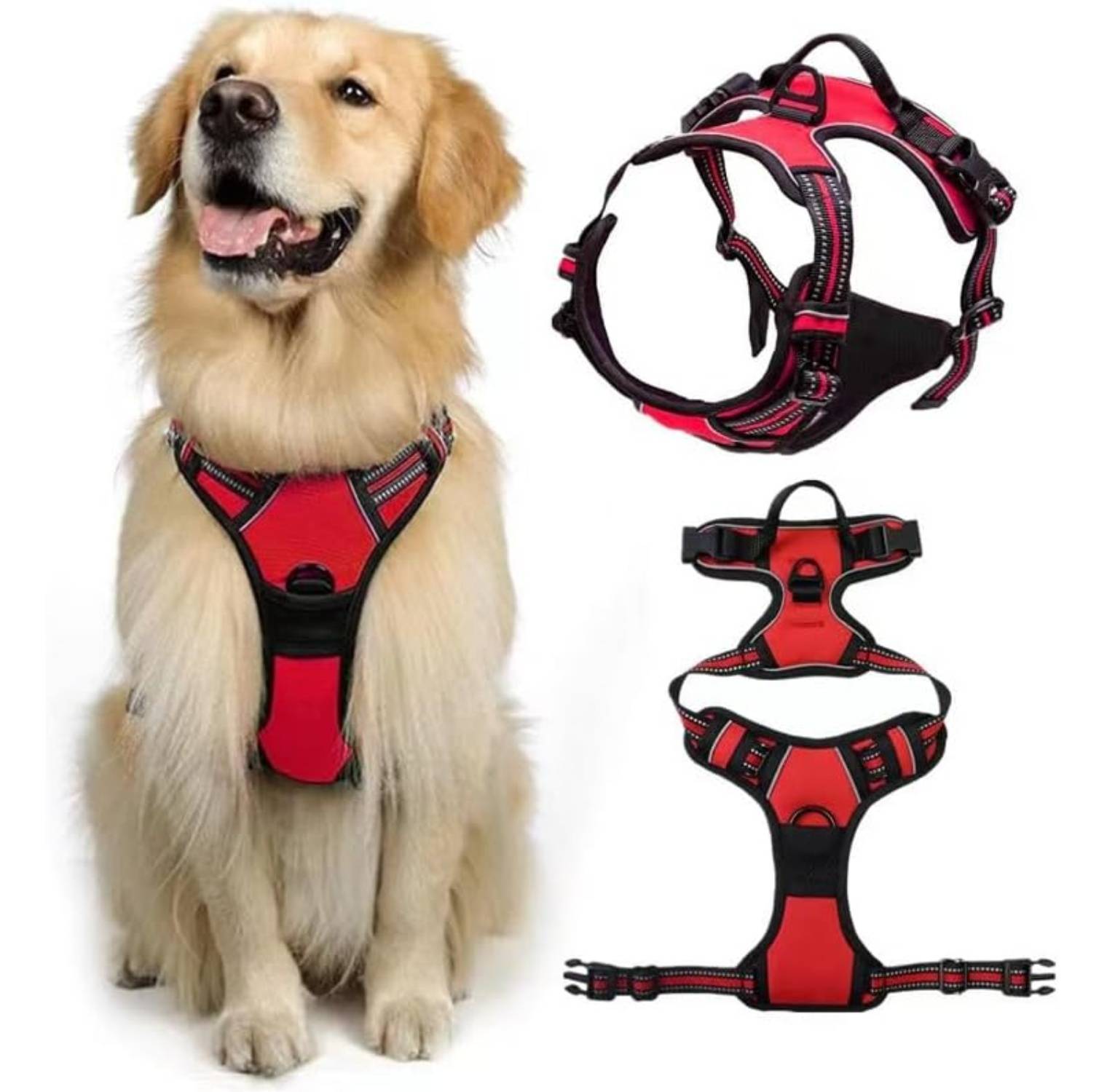 DtopbuyAge - Harnais-Laisse Réfléchissant pour GrandA Chien M - Image 2