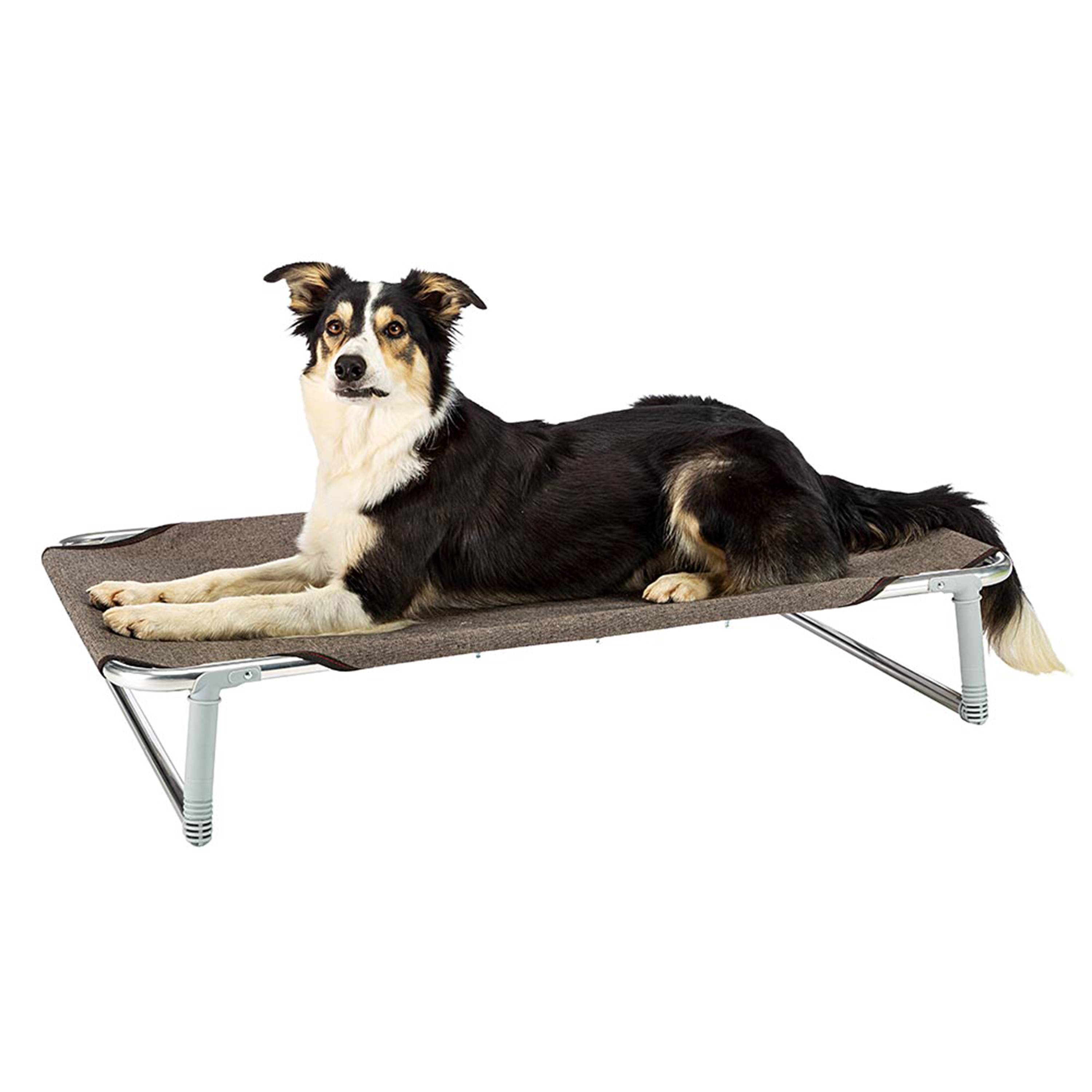 Ferplast - Ferplast Lit pliable pour chiens DREAM 80, avec structure solide en aluminium avec élastiques renforcés, toile en tissu, 84 x 54 x h 18 cm Taupe - Imagen 5