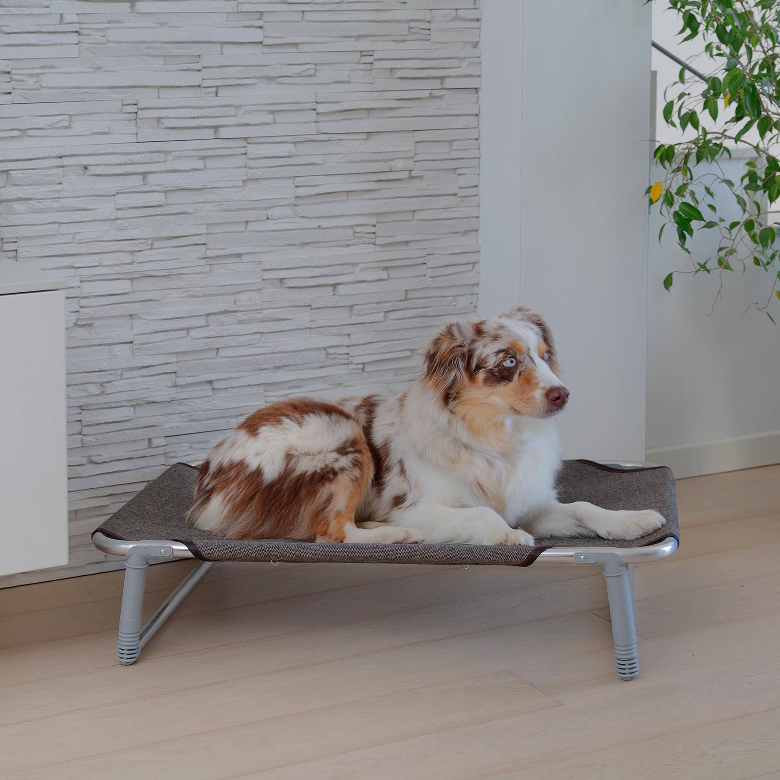 Ferplast - Ferplast Lit pliable pour chiens DREAM 80, avec structure solide en aluminium avec élastiques renforcés, toile en tissu, 84 x 54 x h 18 cm Taupe - Imagen 4