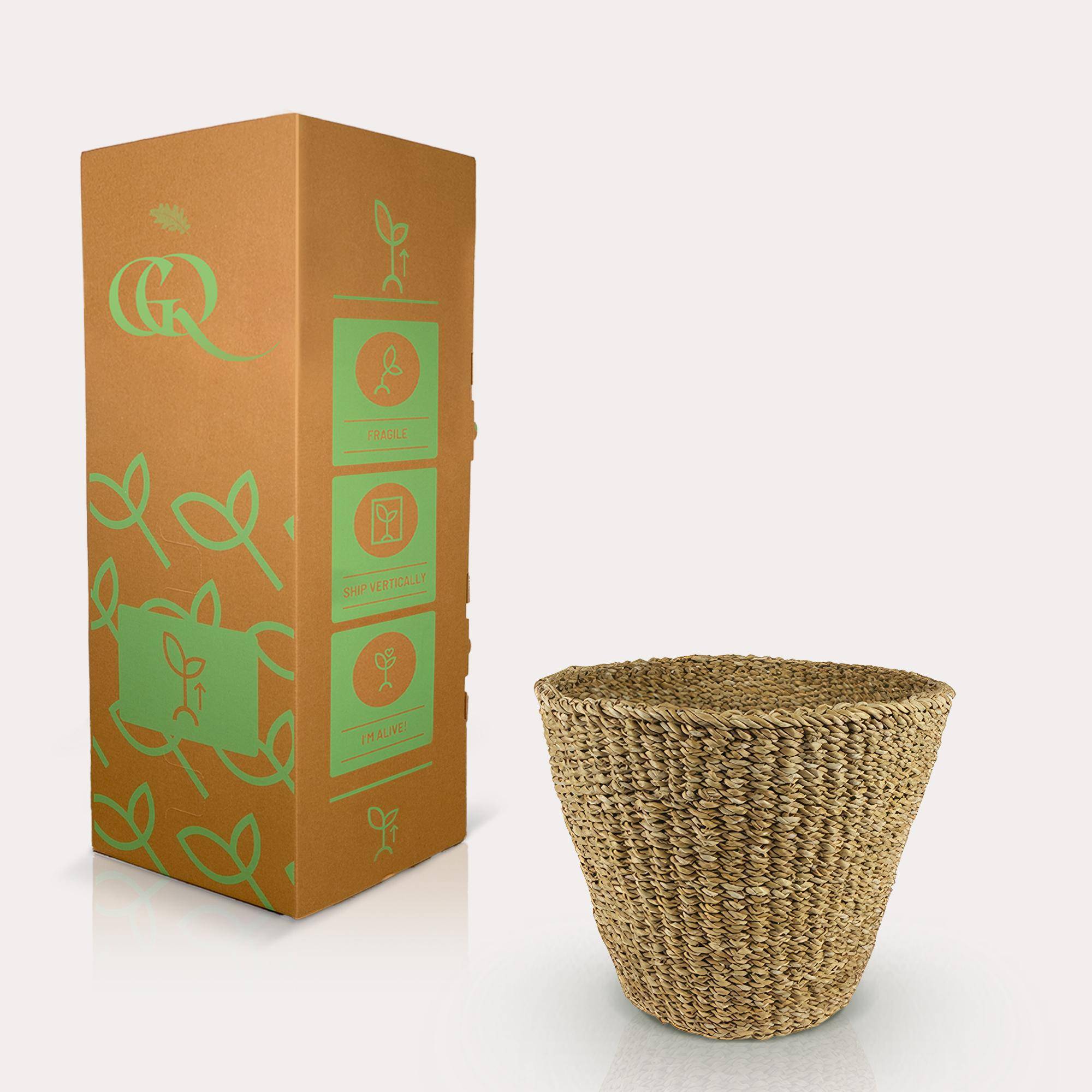 PANGIVO - Panier cache-pot jonc de mer naturel 26 x 26 x 23 cm - PANGIVO - Image 5