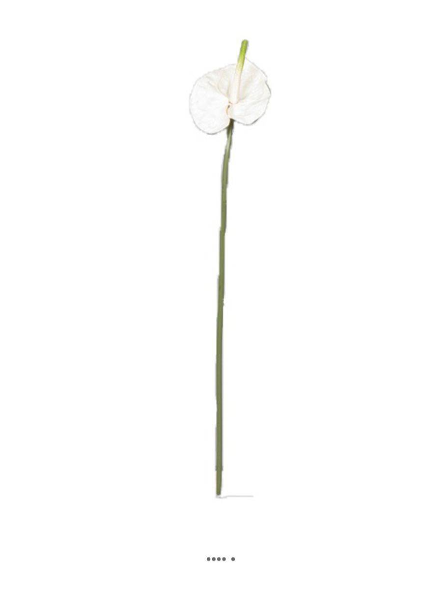 Artificielles - Tige Anthurium artificiel L 66 cm Crème - couleur: Crème - Imagen 1