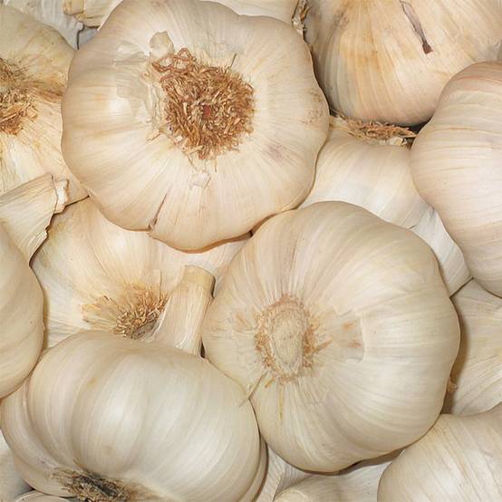 Promesse de Fleurs - Ail Flavor - Allium sativum Pièce calibre 45/+ mm, Sac de 500g