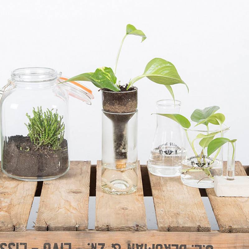 Esschert Design - Vase avec système d'arrosage intégré - Esschert Design - Imagen 5
