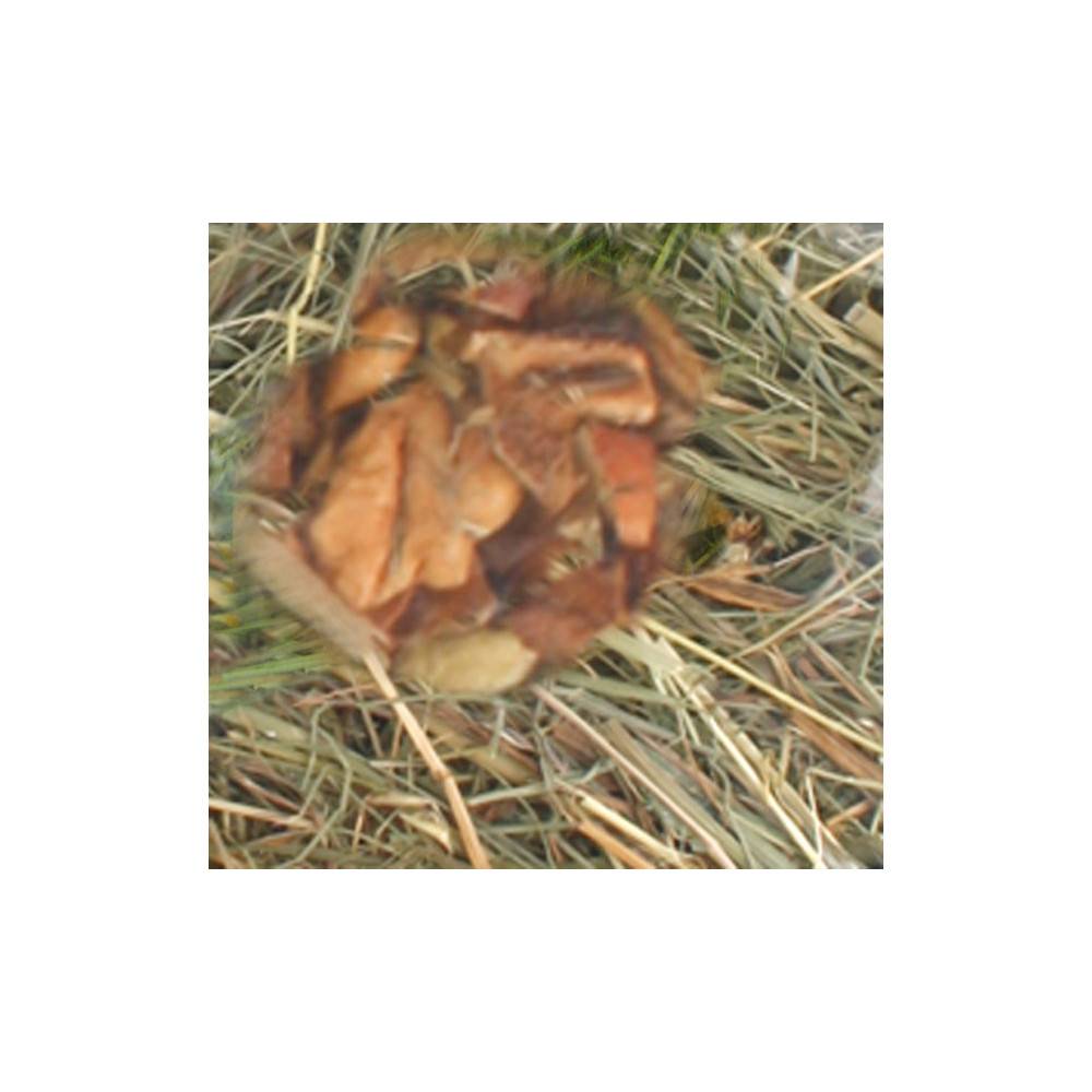 Foin de montagne aux Pommes 500 gr pour rongeurs - Image 2